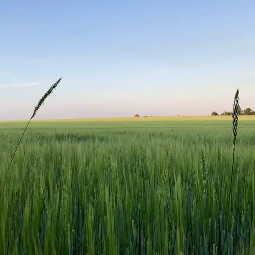 Photo #6006953