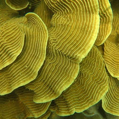 Photo #6007139