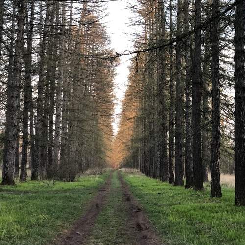 Photo #6007201
