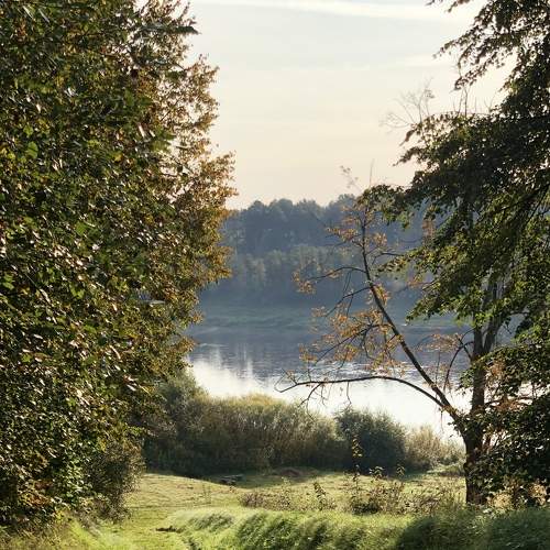 Photo #6007203