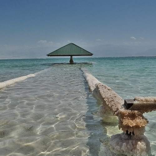 Photo #6007353