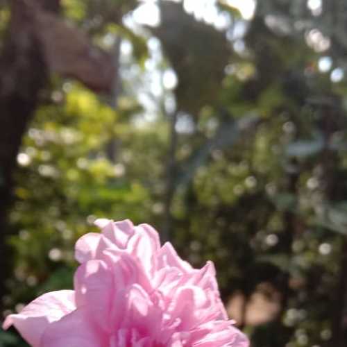 Photo #6007647