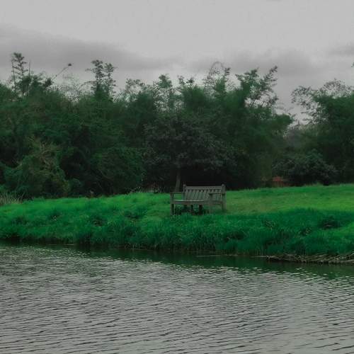 Photo #6007894