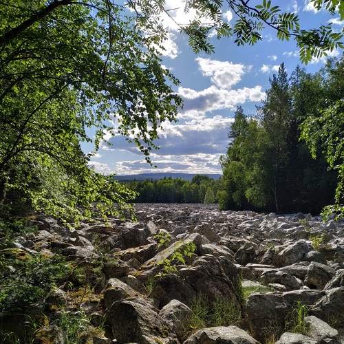 Photo #6008218