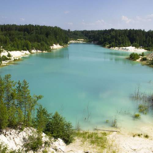 Photo #6008221