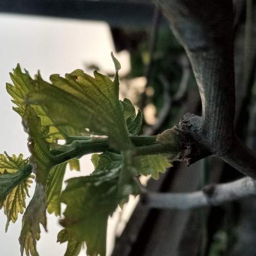 Photo #6008259