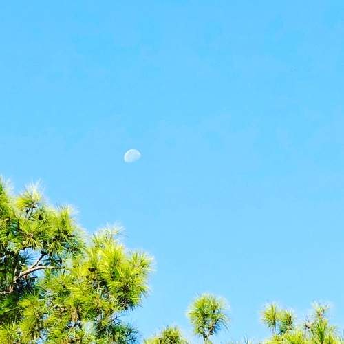 Photo #6008456