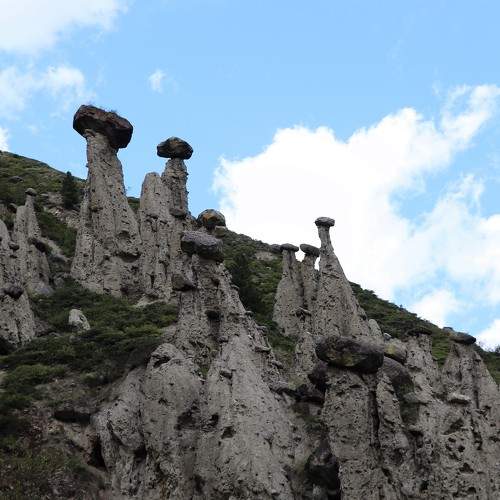 Photo #6008501