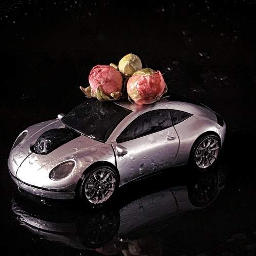 Photo #6008577