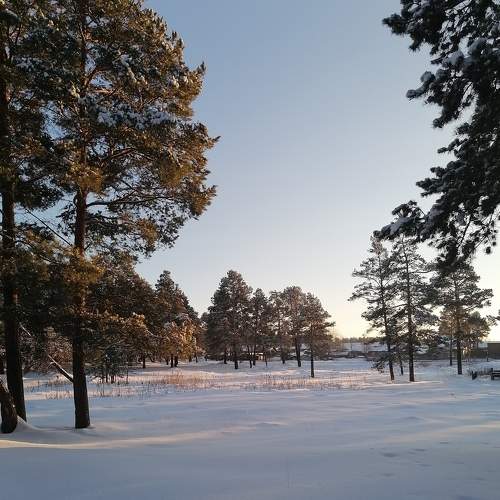 Photo #6009058