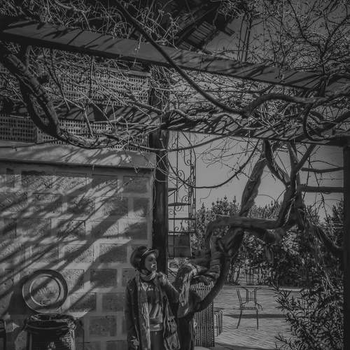Photo #6009074