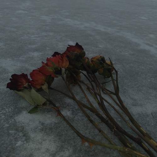 Photo #6009079