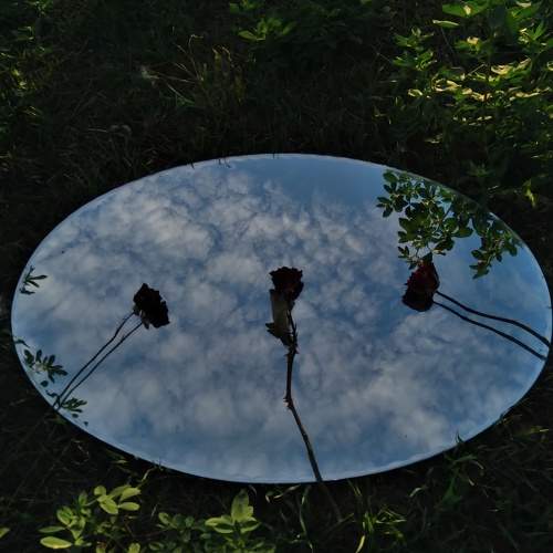 Photo #6009095