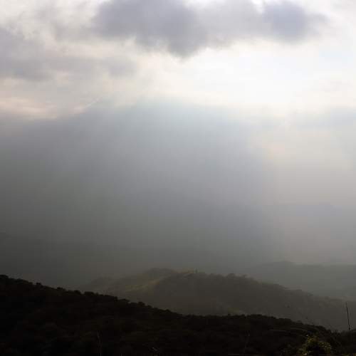 Photo #6009934