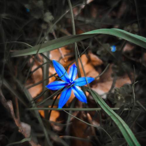 Photo #6009998