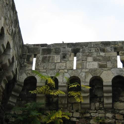 Photo #6010562