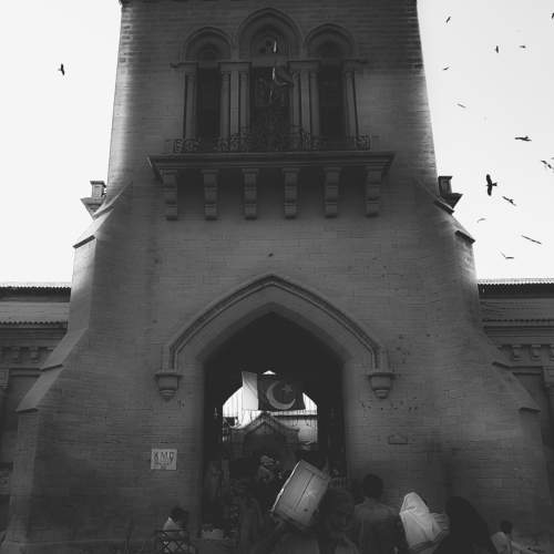 Photo #6010952