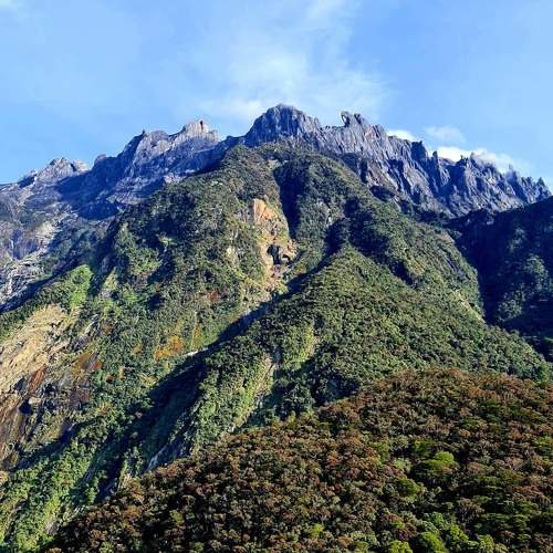 Photo #6011555
