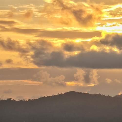 Photo #6011556