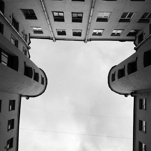 Photo #6011630