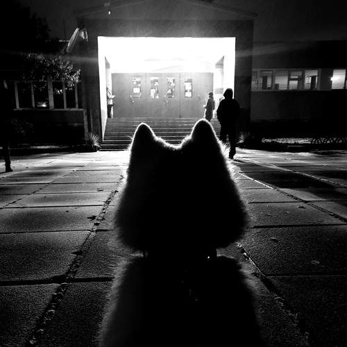 Photo #6011764
