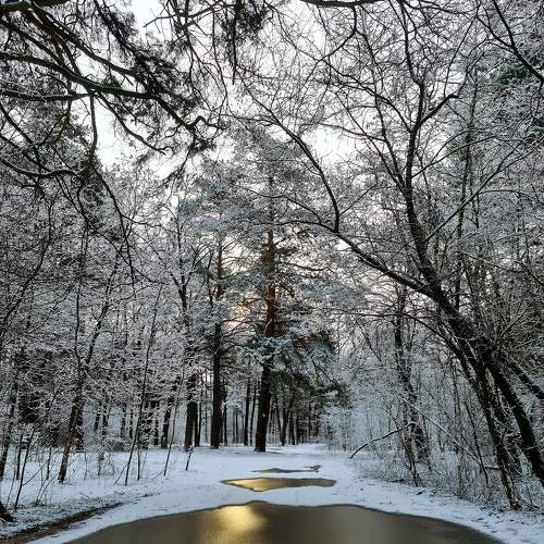 Photo #6011868