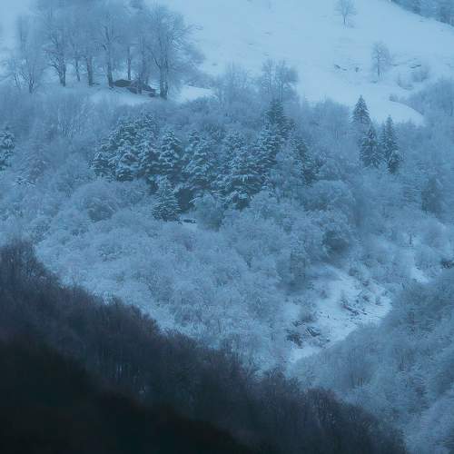 Photo #6012098