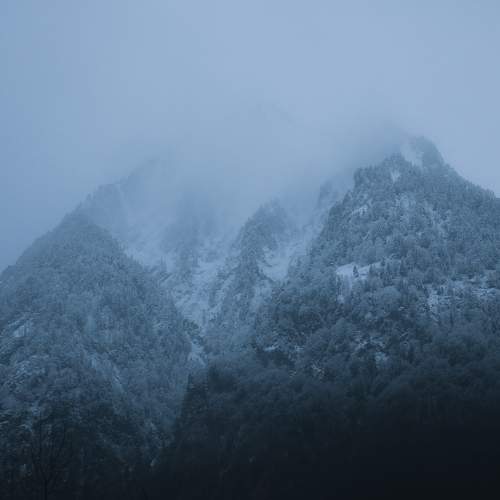 Photo #6012099
