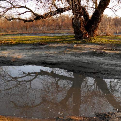 Photo #6012168