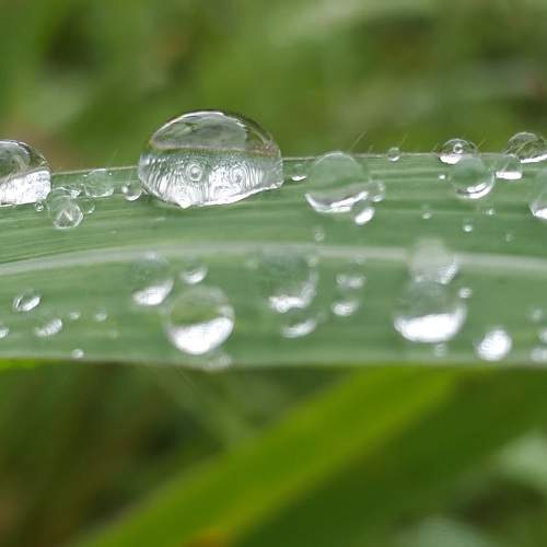 Photo #6012328