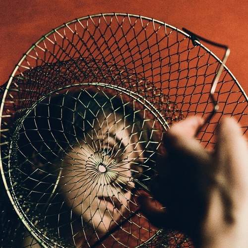 Photo #6013122