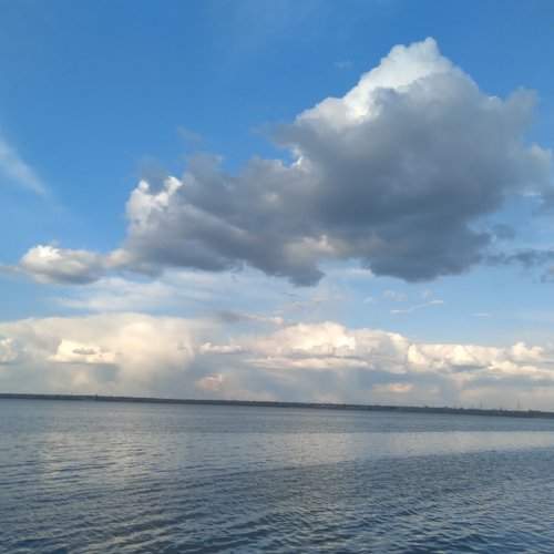 Photo #6013282