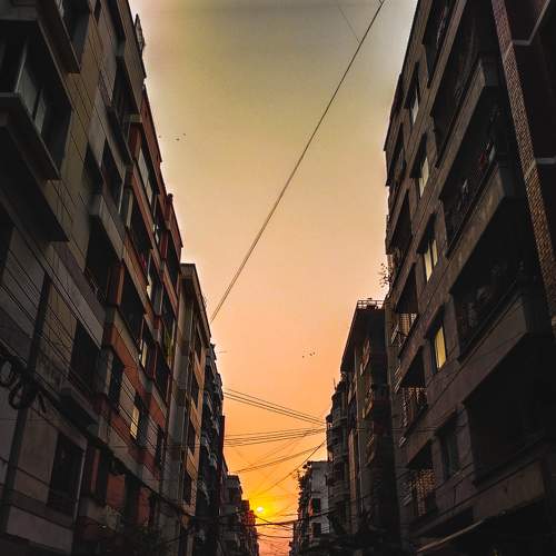 Photo #6013298
