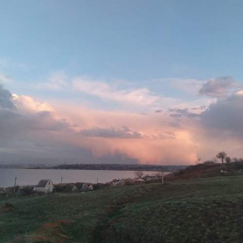 Photo #6013362