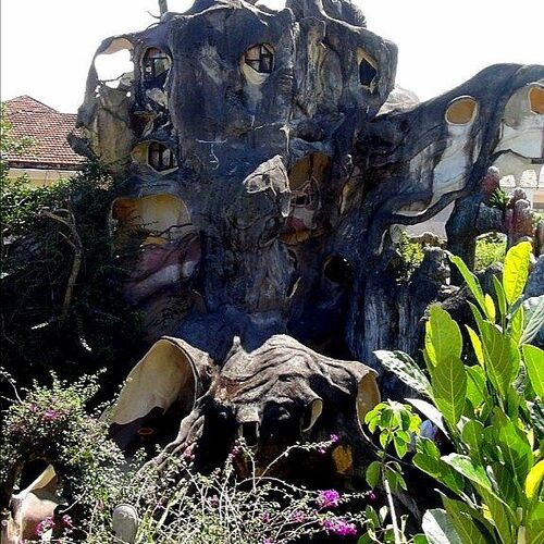 Photo #6013392