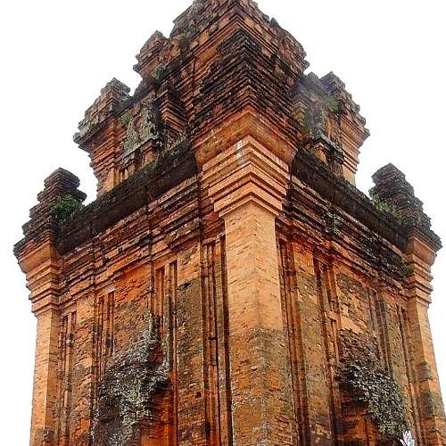 Photo #6013409