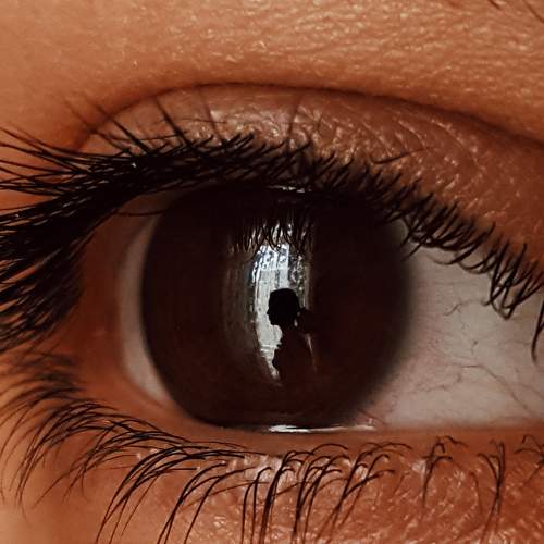 Photo #6013790