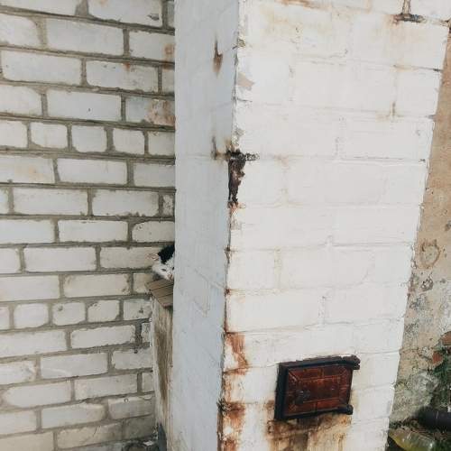 Photo #6014117