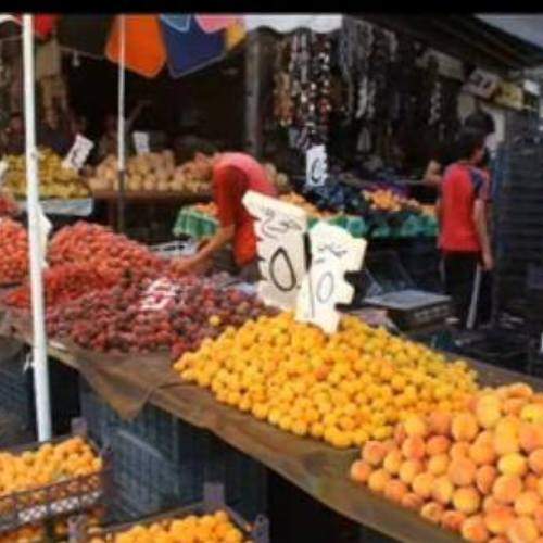 Photo #6014485