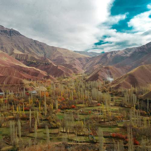 Photo #6014940