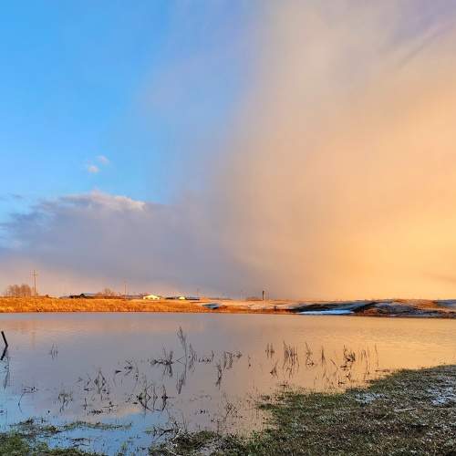Photo #6016085