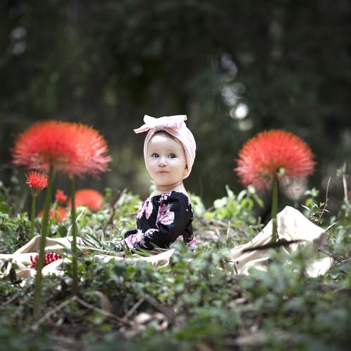 Photo #6016150