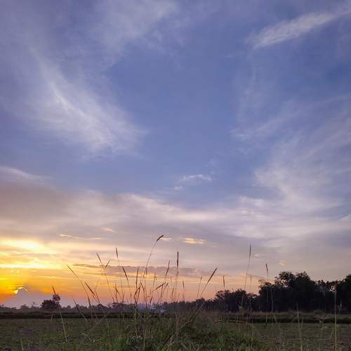 Photo #6016428