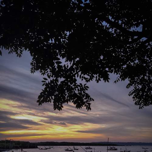 Photo #6016442