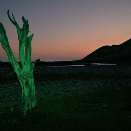 Photo #6016692