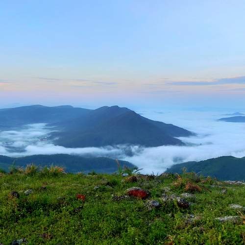 Mountain and greenery