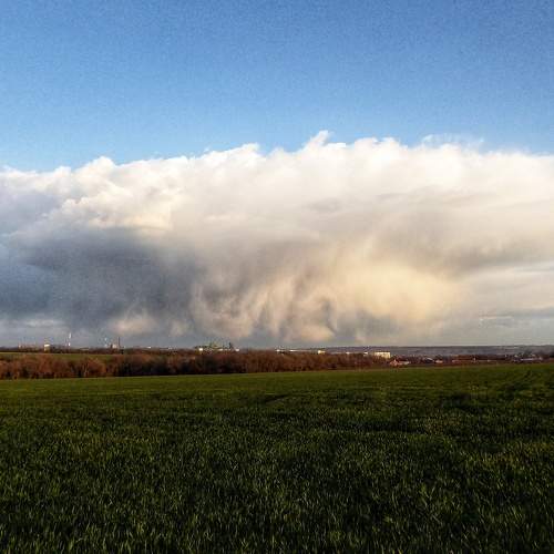 Photo #6016949