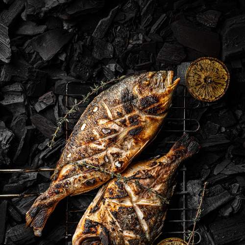 Photo #6017189