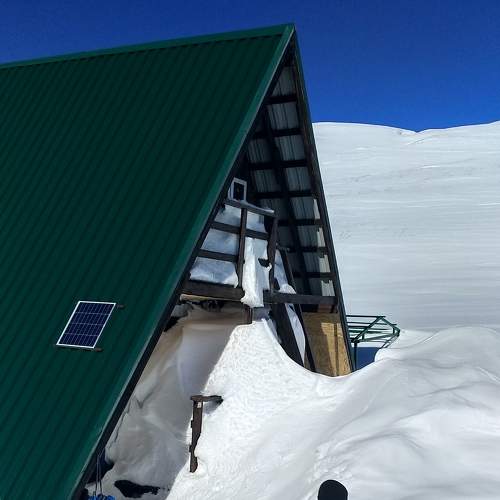 Photo #6017298