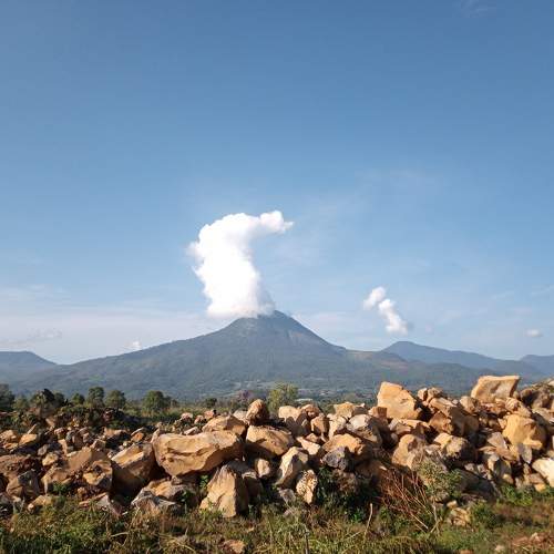 Photo #6017457